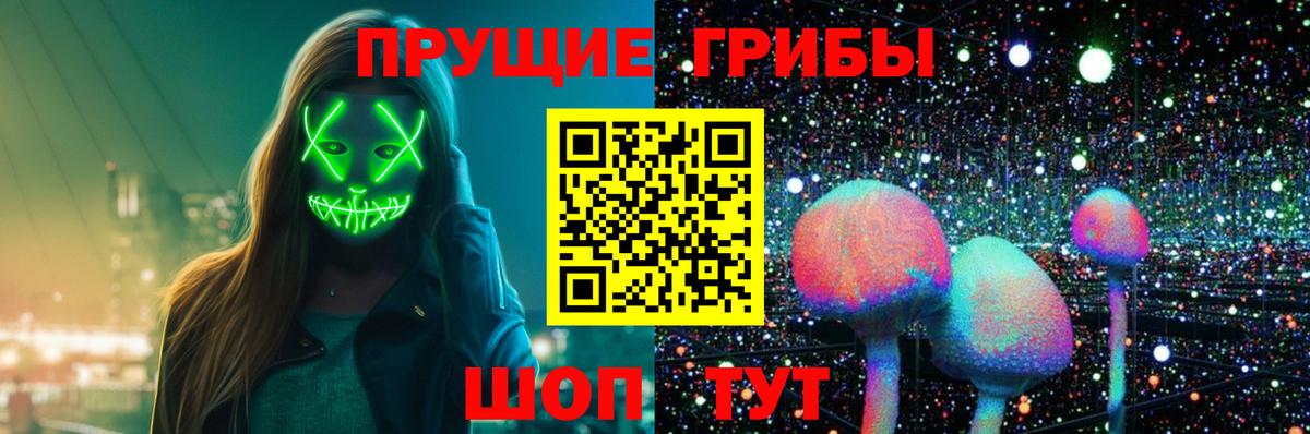 Псилоцибиновые грибы прущие грибы  Вход с VPN  цена наркотик  Павлово 